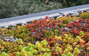 the cost of Blackdown green roof installation