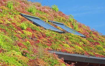 Blackdown living roof systems