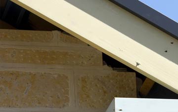 soffit repair Blackdown