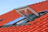 Blackdown roof window